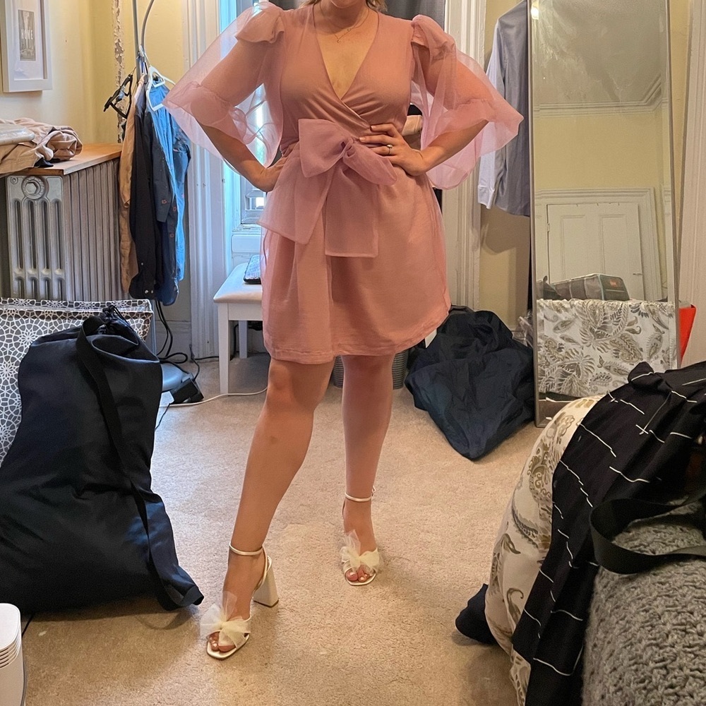 Cynthia Rowley designer Pink Irene organza dress (purchased in Hamptons store)